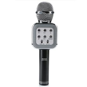 Мікрофон DM Karaoke WS 1818
